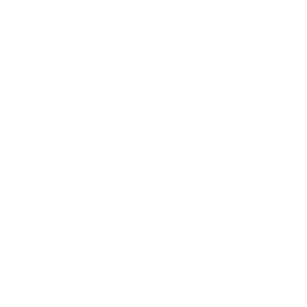 L1